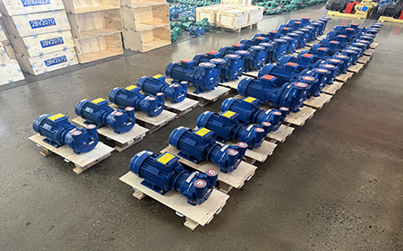 2BV Vacuum Pump